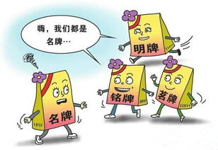 成都半包装修必看 建材购买全攻略与销售技巧